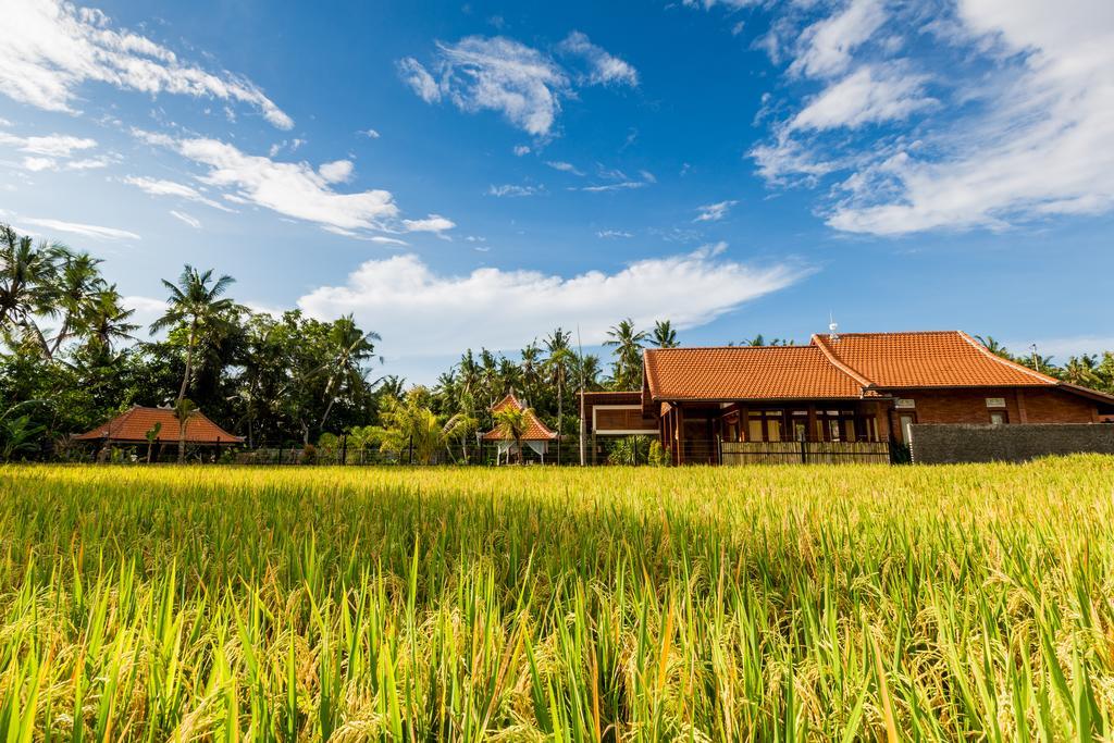 Maluhia Haven Villa Ubud  Ngoại thất bức ảnh